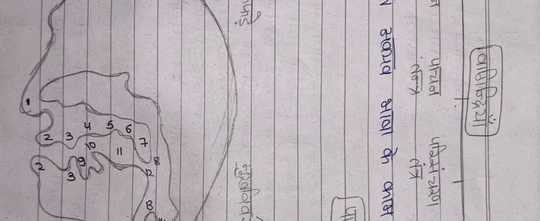 ध्वनि-तंत्र पर सटीक प्रकाश डालिए ।